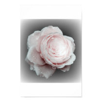 pink on gray print