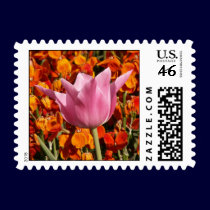 Pink on Orange stamps