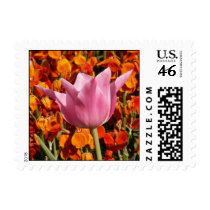 Pink on Orange postage by sacredwlkr Pink on Orange postage