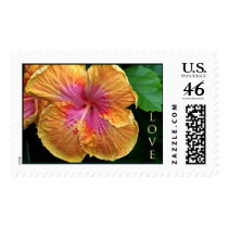 Pink Orange Love Flower stamp stamps