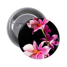 Pink Orchid.