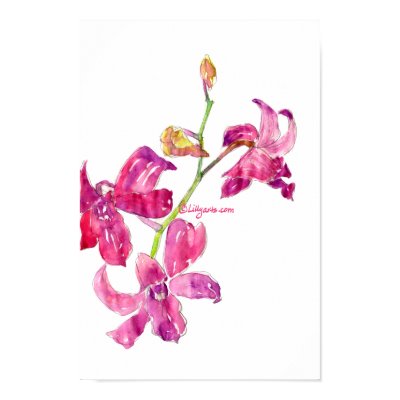 Pink Orchid Babies Floral Sketch Poster Print by lillyarts