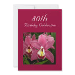 pink, orchid, orchids, pink orchids, cymbidium,