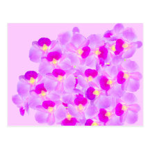 Pink Orchid Bouquet Postcards