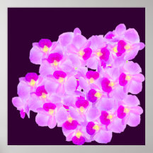 Pink Orchid Bouquet Poster