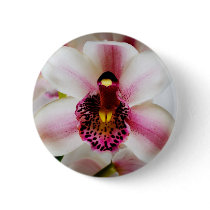 Pink Orchid