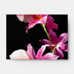 Pink Orchid. Envelope