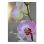 Pink Orchid Expression Mother's Day Card