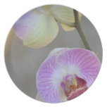 Pink Orchid Expression Plate