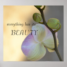 Pink Orchid Expression Poster