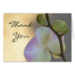 Pink Orchid Expression Thank You Card