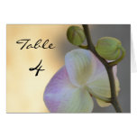 Pink Orchid Expression Wedding Table Card