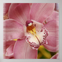 Pink Orchid Flower Print