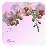 pink orchid flowers, Christmas gift wrap labels. Square Sticker