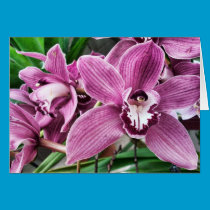 Pink Orchid Greeting Card cards