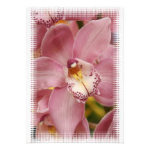 Pink Orchid Invitation