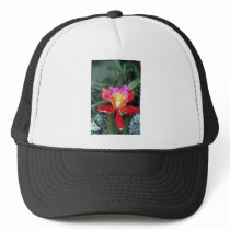 Pink Orchid, Machu Picchu flowers Hats