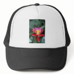 Pink Orchid, Machu Picchu flowers hats