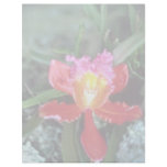Pink Orchid, Machu Picchu flowers Letterhead Template