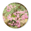 Pink orchid magnets