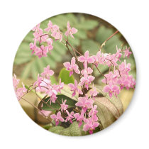 Pink orchid magnets