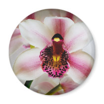 Pink Orchid Fridge Magnets
