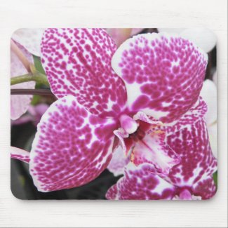 Pink Orchid mousepad