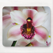 Pink Orchid Mouse Pad
