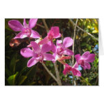 Pink Orchid Note Card