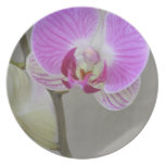 Pink Orchid Plate