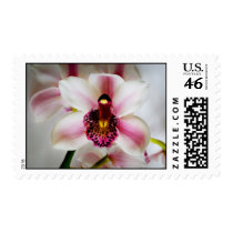 Pink Orchid Postage Stamp