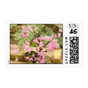 Pink orchid postage