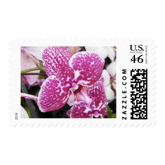Pink Orchid stamp