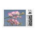 Pink Orchid postage
