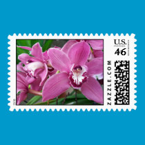 Pink Orchid Postage stamps