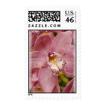Pink Orchid Postage Stamp
