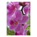 Pink Orchid R.S.V.P. Personalized Invitation