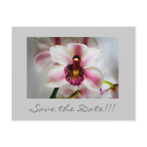 Pink Orchid, Save the Date!!! Post Card