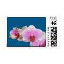 Pink Orchid Stamp by ayfoto Pink Orchid Stamp