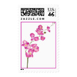 Pink Orchid Stamp