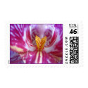 Pink Orchid Stamps by threesidedorchid Pink Orchid Stamps
