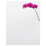 Pink Orchid Stationary letterhead