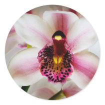 Pink Orchid Sticker