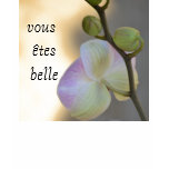 Pink Orchid Vous Etes Belle Tee t-shirts