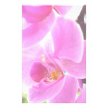 Pink Orchids Customized Stationery