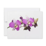 Pink orchids invitations