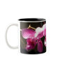 Pink Orchids Mug