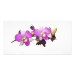Pink orchids customized photo card