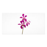 Pink Orchids Custom Photo Card