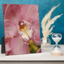 Pink Orchids  Plaque